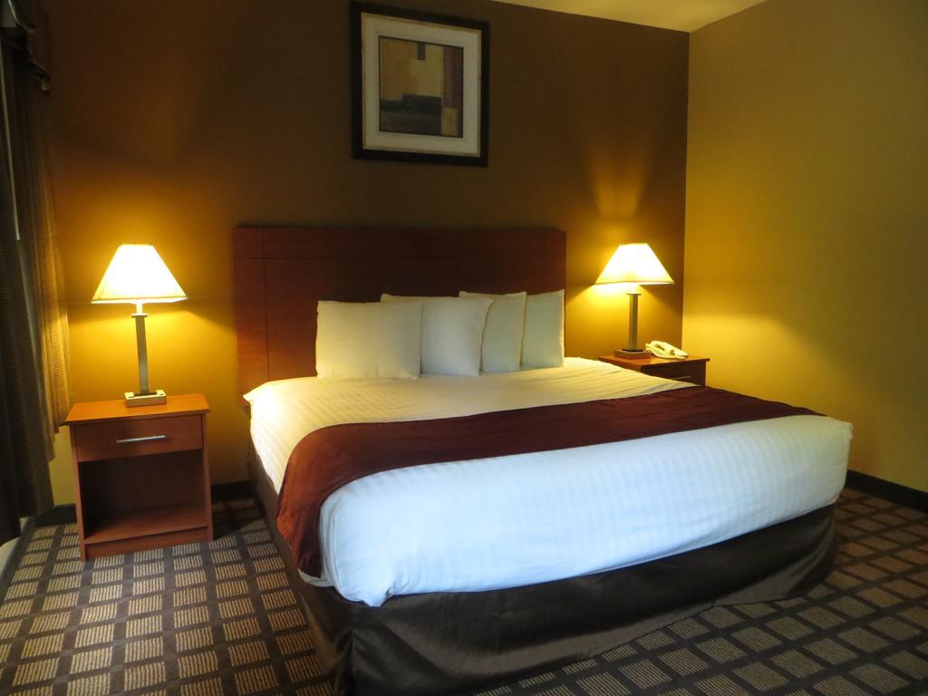 Baymont By Wyndham New Buffalo Camera foto