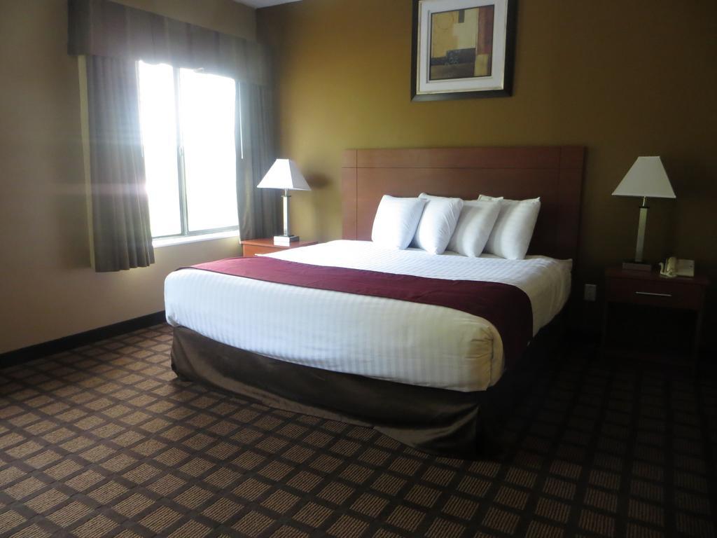 Baymont By Wyndham New Buffalo Camera foto